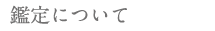 鑑定について